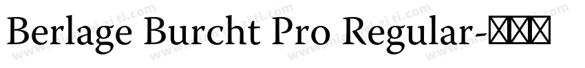 Berlage Burcht Pro Regular字体转换